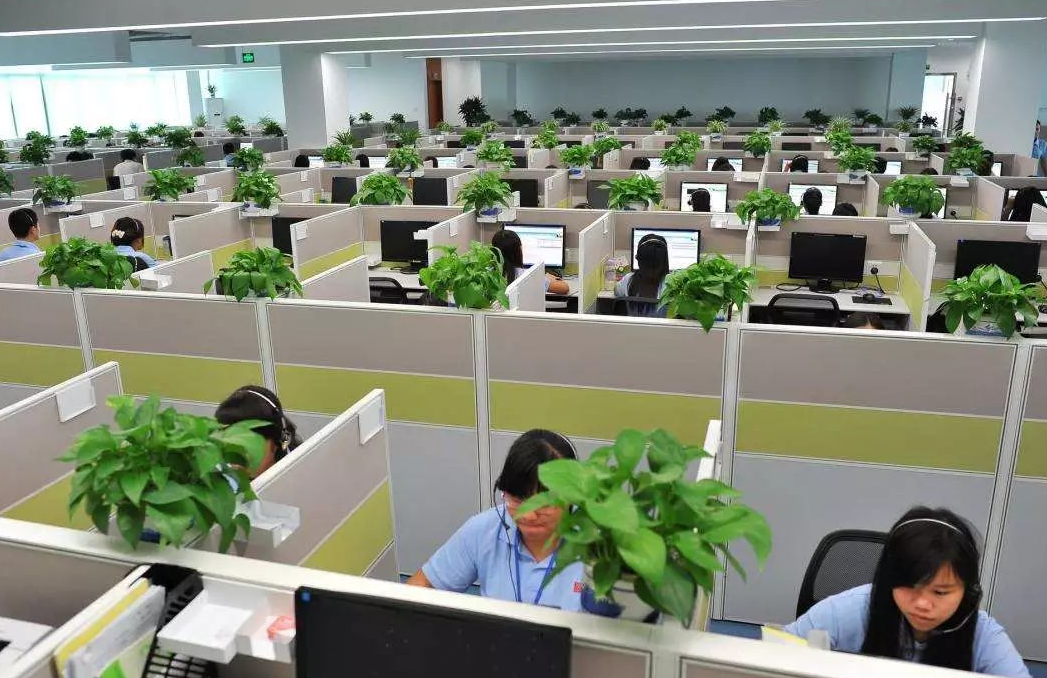 惠若琪|文科生和理科生差距明显，谁更有“钱”途，听听毕业生怎么说