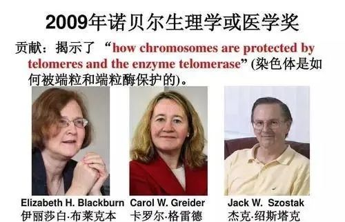 健康资讯分享|【深度】“替换”端粒长度？人类寿命将再迎突破