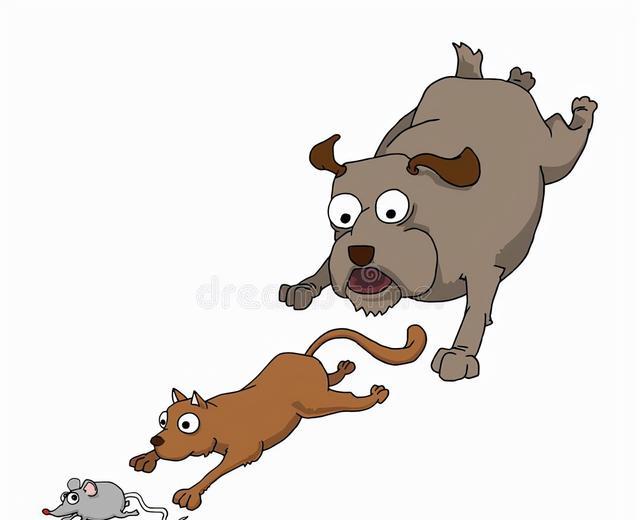 崔精|猫和老鼠！吴侑珍九段发狠，崔精九段走到哪里我就打到哪里