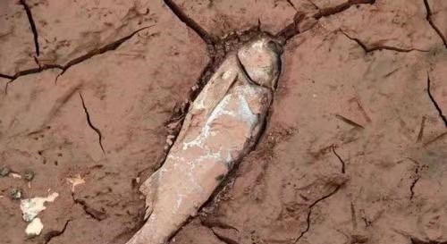 风云三号 如果海洋从地球上忽然消失，想象一下，会发生啥？人能坚持多久？