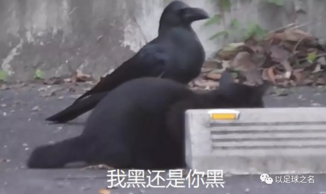 穆科科|「以足球之名」葡萄牙杯：“欧洲黑店”与“世界黑店”之间的对决