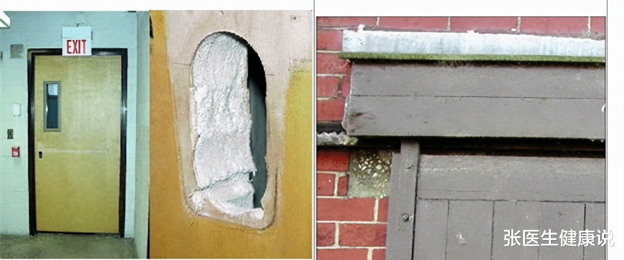 张医生健康说 一级致癌物“石棉”，潜伏期可达15年，你用过的这些物品都有