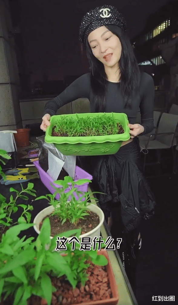 女明星减肥太疯狂！张韶涵罕见现身又瘦一圈，穿露腹装大秀马甲线