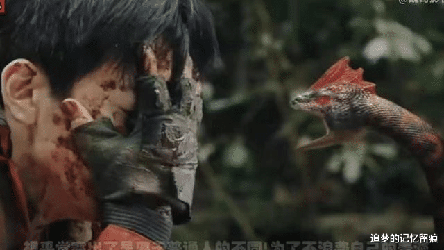 盗墓笔记|盗墓笔记：蛇沼鬼蜮的野鸡脖子为什么唯独不咬吴邪呢？
