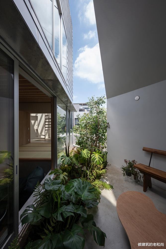 客厅|唯有花园才能是完整的住宅：三角形地块置入正方形平面