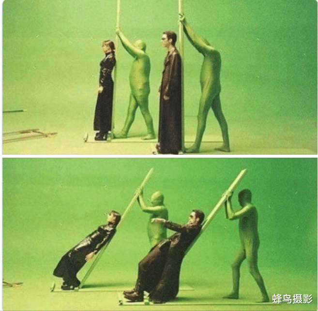  22张罕见的照片，鳄鱼居然同类相残，老鹰成乌鸦的顺风车