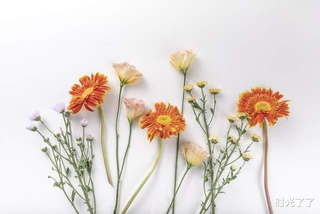 时光了了|偷偷喜欢你的人,在你面前,会出现这样的身体语言