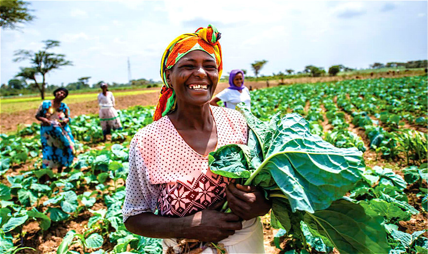 非洲 中国援建非洲农业项目，移交当地后为何会出现荒废？