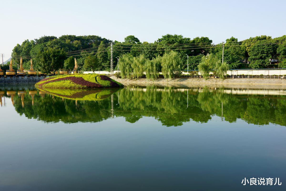 小良说育儿|理想和梦想有怎样的区别