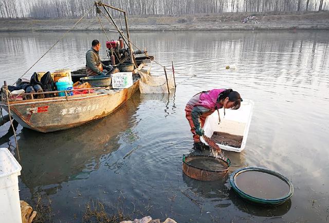 顺庆|冬季捞红虫赚钱吗？暴利到你无法想象，是钓鱼人让其身价倍增