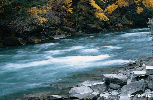 王力宏|王力宏终于道歉：这场离婚闹剧，李靓蕾赢在这7点