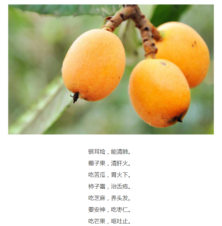 肠胃|中医顺口溜、养生三字经:补气血、降血脂、防血栓,收下吧!