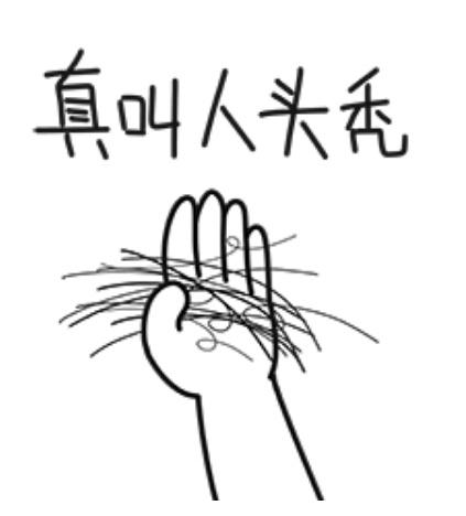 小树苗发芽|掉发多不代表脱发
