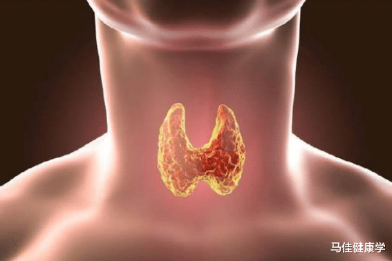 咳嗽|立秋后是甲状腺黄金“保养”期，远离3种食物，甲状腺或越来越好