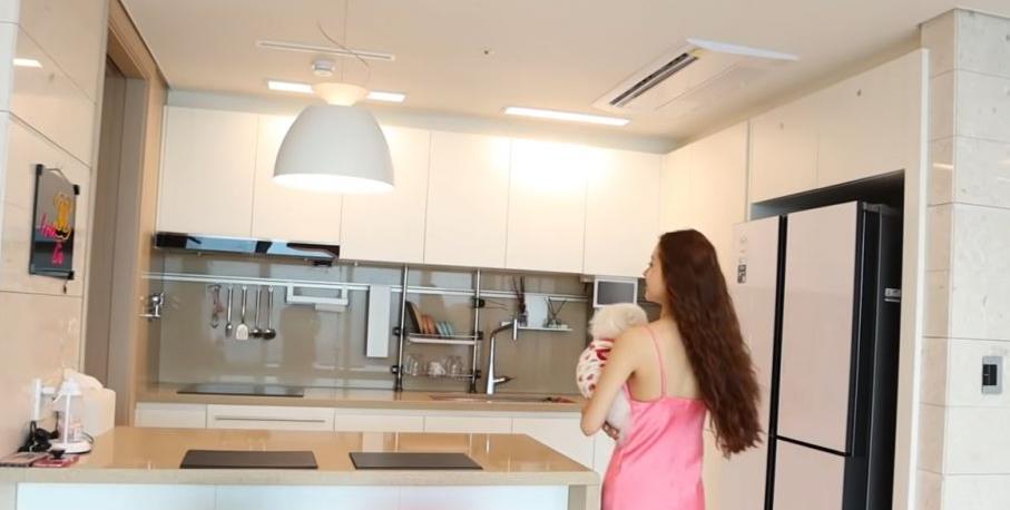 宋智雅|《单身即地狱》宋智雅公寓公开!翻版Jennie之称?BTS成员是邻居