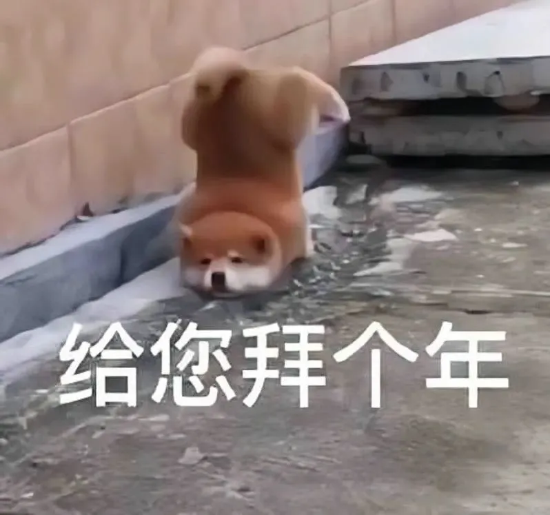 |磕掉的牙不要扔！可能怒亏几万块