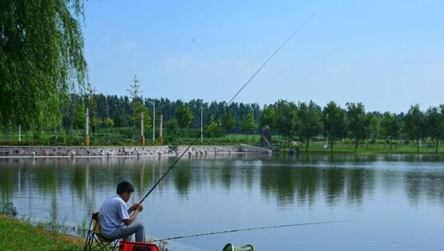 教教你家娃|夏季钓鱼“4钓4不钓”，并非河边守一天就会收获好！