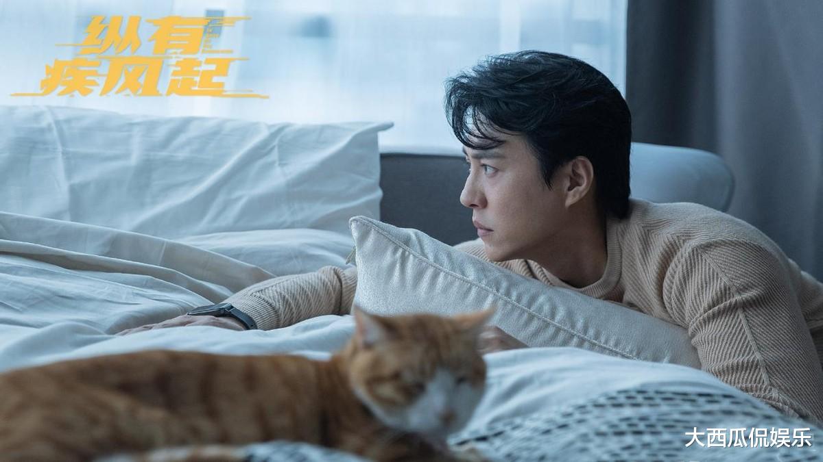 赵丽颖|靳东新上星大剧来袭，上演落魄男，女主实力抢眼，收视稳了