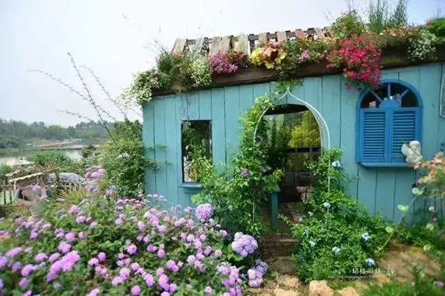 他建了座2亩的鲜花小院,满足你对花园的所有幻想!