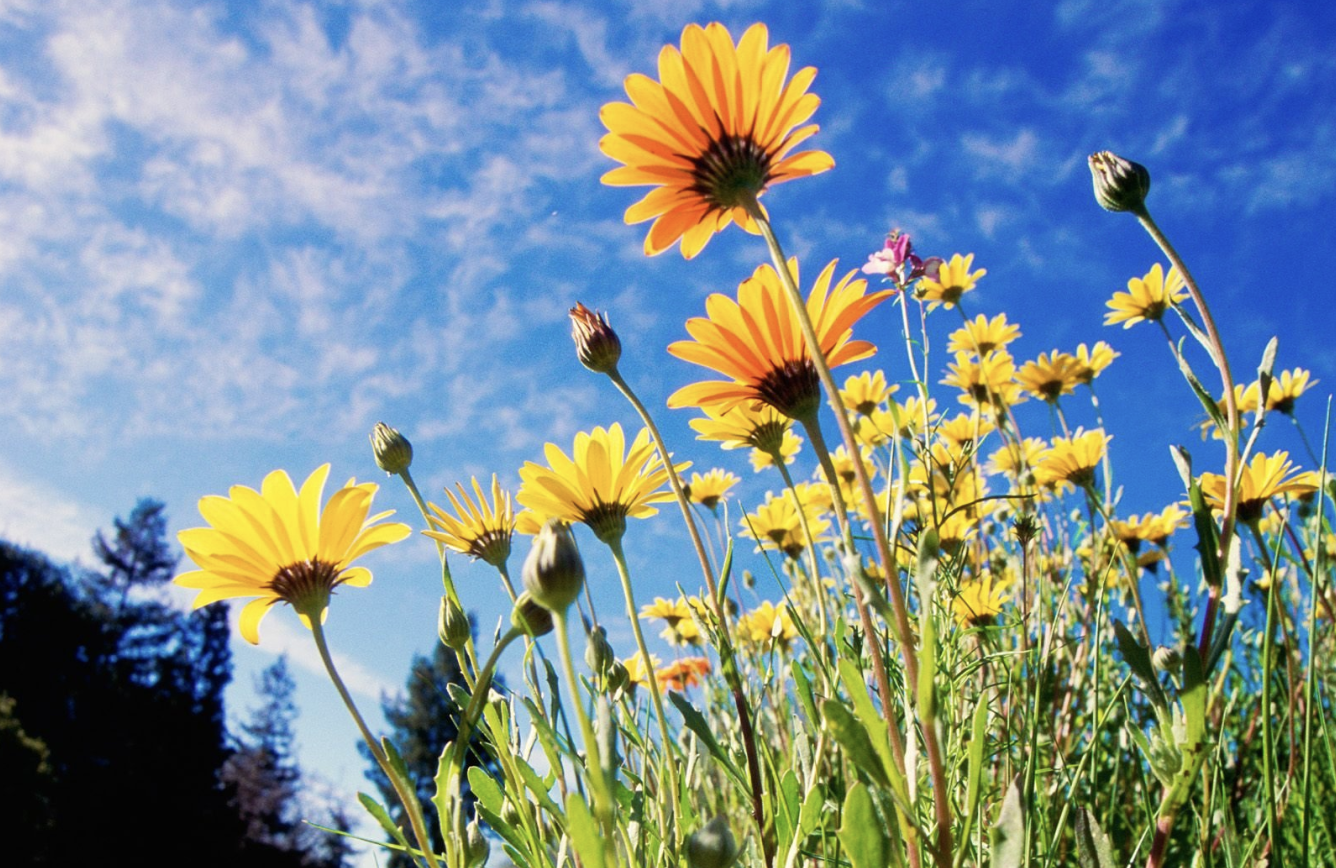 生肖夜梦|8月，事业取得成功，生活灿烂光明，3生肖贵人指点，日子富足无忧