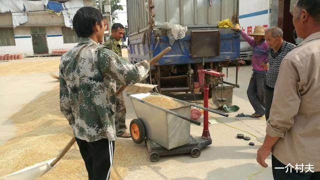 一介村夫 农民福利！6月农民喜迎“4涨”！这种必备品将出现涨价潮？