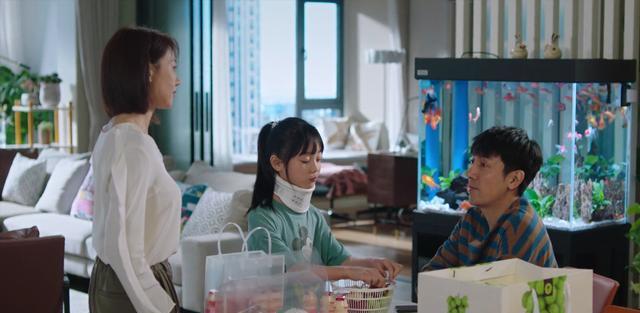 完美伴侣|同为都市情感剧，《完美伴侣》主演和剧情，都胜过《幸福二重奏》