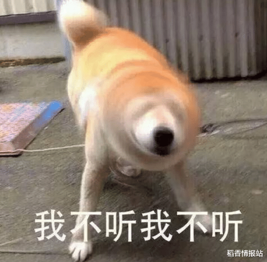 金铲铲之战|金铲铲之战:斗士狂野刺,你信我!这个阵容跳跳虎大声说话!