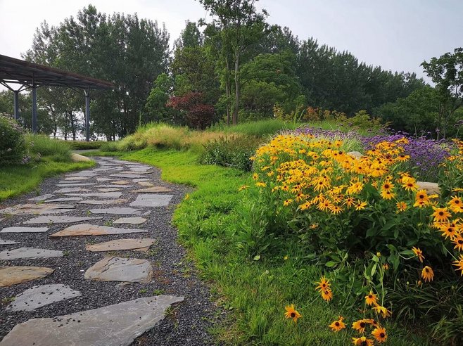 打造一块花境需要注意些什么?花境设计要求有哪些?