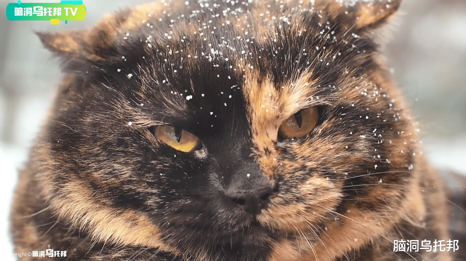 外星人 一个疯子的惊世预言，竟然一一实现！“非常态人群”眼中的异世界