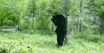 |周杰伦新歌刷屏三天后，我被这些沙雕网友笑掉了头！哈哈哈