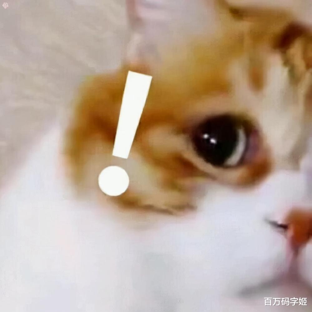 hr|面试时我说“找工作是双向选择”，HR：果然外地人都没责任心