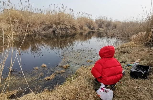 空军|秋冬季野钓的真实状况,没多少人愿意讲实话,因为现实很残酷