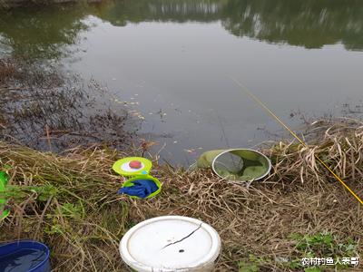 |冬季传统钓上鱼多，朝天钩的功劳多，解析朝天钩在冬钓的优缺点