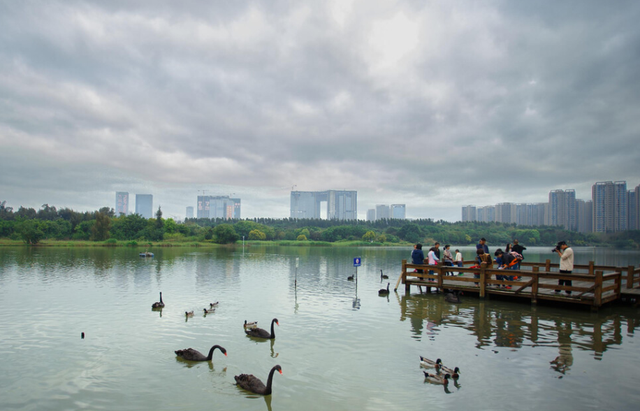 育儿心课堂|厦门投资上亿的湿地公园，免门票媲美白鹭洲，乘地铁二号线可直达