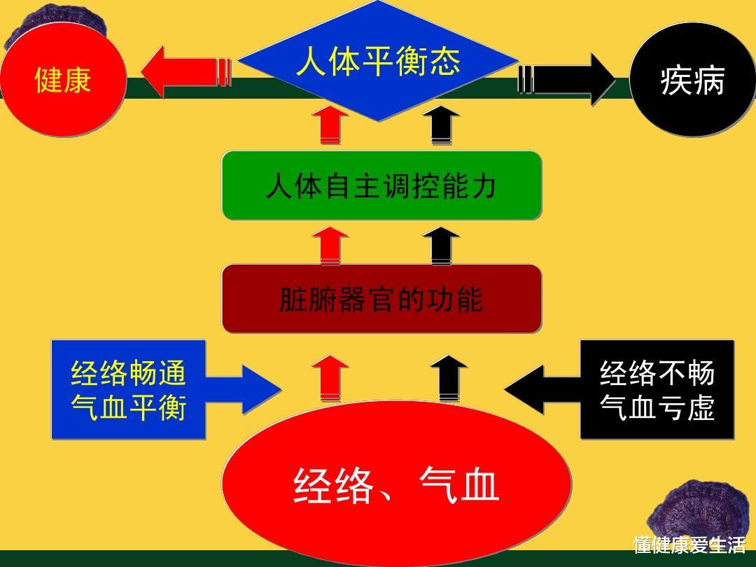 懂健康爱生活|糖尿病为什么越治越严重？答案在这里！
