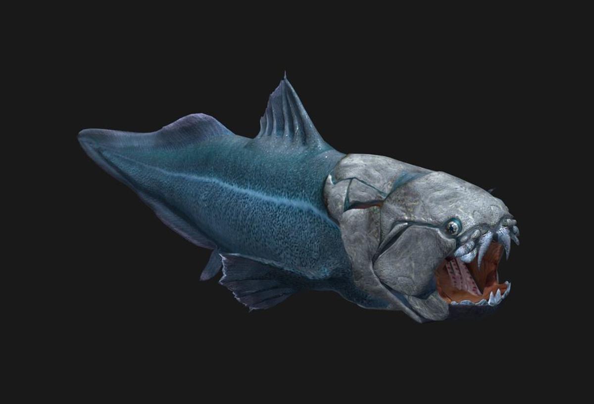 奇闻：邓氏鱼，没有天敌的生物，咬合力达5吨，能将岩石咬成粉末