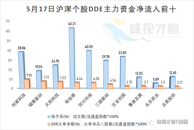 永安药业 5月17日主力最青睐的10只股票