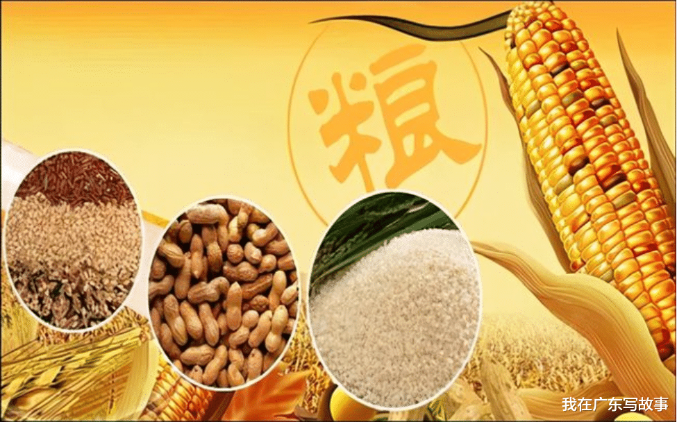 我在广东写故事|世界四大粮商垄断全球粮食交易，为何动不了“中国饭碗”？