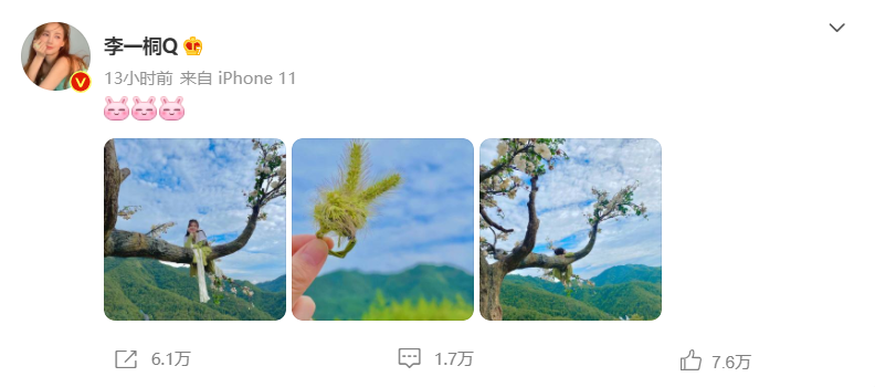 李一桐|李一桐穿古装趴在树上睡觉，照片中未见吊威亚，网友：注意安全！