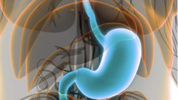 牛奶|胃不好的人能不能喝牛奶?消化科医生:若要胃安好,平时3种食物少吃