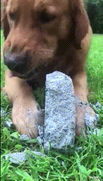 学姐说育儿|“男朋友很棒是一种什么样的体验？”简直幸福到起飞！