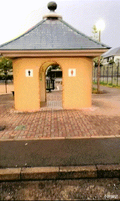 小叶娱记 “女友穿成这样去遛狗,谁能忍得了?”不把自己当外人啊!