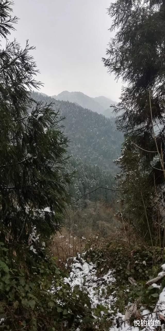 医生|当年的钓点早已无鱼可钓,但鱼就在水中,真正的垂钓者都能看见