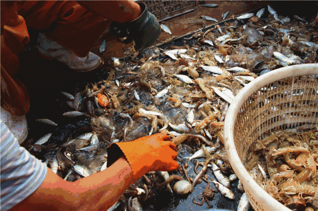 谢霆锋|又被谢霆锋带出圈了！中国北回归线上的宝藏小城，装两个胃不够吃