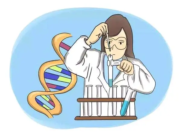 Manlix|无创DNA产前检测能查到什么?有必要做吗?