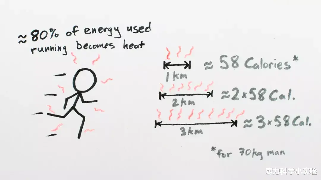 天冷时，待在原地不动、漫步还是狂奔，哪个会更冷？