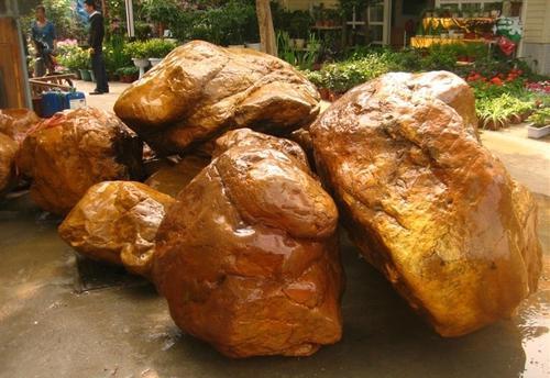 |农民荒地里挖出好宝贝，却因不识货随手丢弃，错过发大财的机会