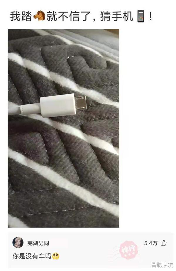 沙雕|神回复:兵马俑中间的土墙是干什么用的,为什么不能挖?