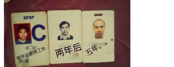 程序员|程序员是如何卷死其它程序员的？只有程序员才懂，或成为天花板