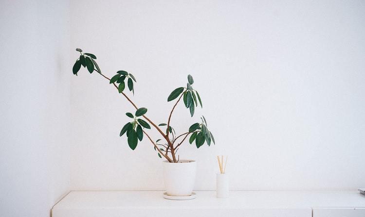 开心生活助手|如此待你的男人，表面爱你，骨子里把你当备胎